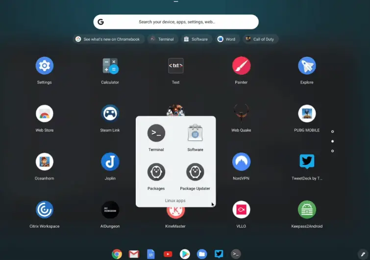 Compatibility of Chromebook with Android (Google Play) and Linux applications