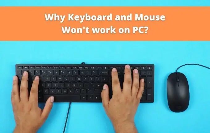 Why is my keyboard and mouse is not working?