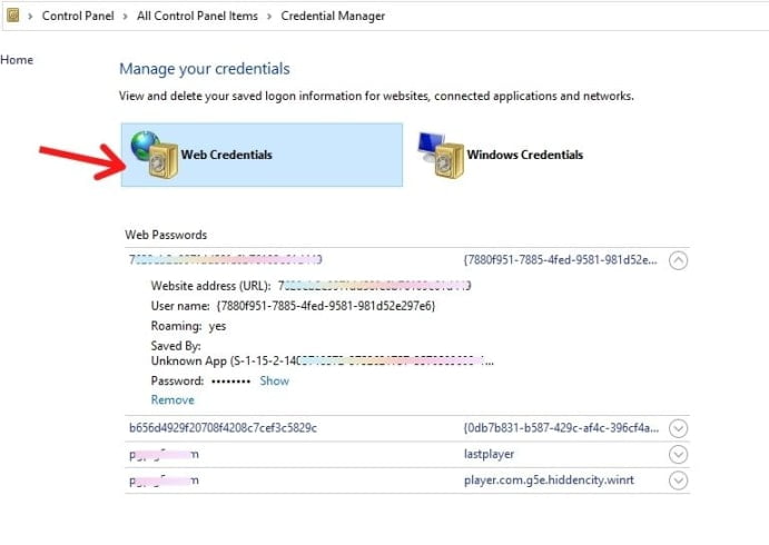 windows credential manager view password