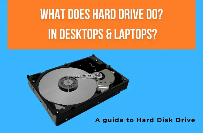 What does Hard Drive do in Desktop and Laptops