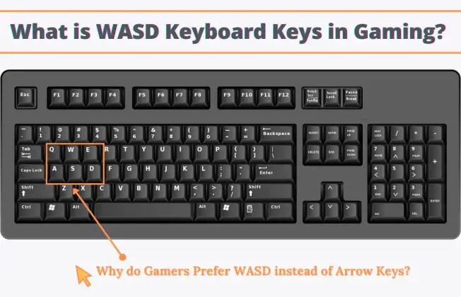 What is WASD Gaming, Why do Gamers prefer WASD Keys of Keyboard